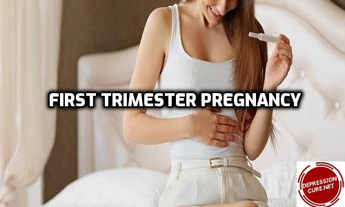 First Trimester Pregnancy