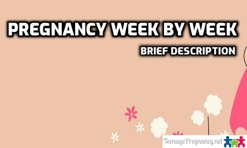 Pregnancy Week by Week - Brief Description